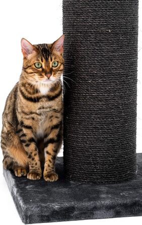 Дряпак для великих котів Petrebels Savannah, 86 см, стовп Ø20 см, чорний, високоякісний килимок для кігтів