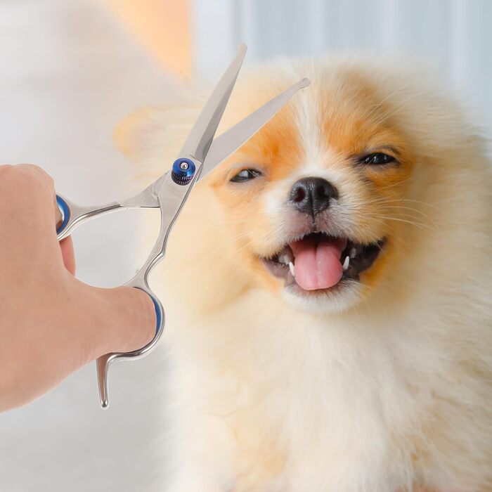 Набір з 2 ножиць для грумінгу тварин з округлою голівкою, нержавіюча сталь, професійний грумінг та домашнє використання, прецизійна заточка, ергономічні ручки