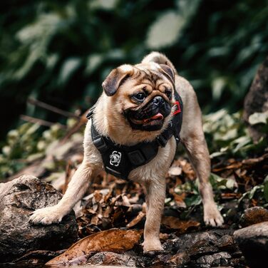 Тактичний нашийник для собак OneTigris FIRE WATCHER, 1000D нейлон, чорний (XXS)