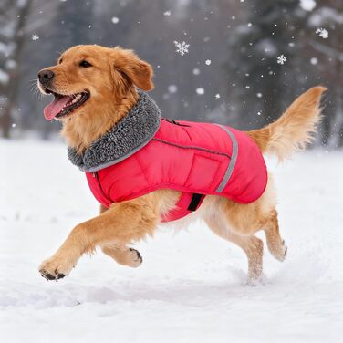 Зимовий теплий куртка для собак з регульованим коміром та світловідбиваючими елементами (Blue, XL, Wassermelonenrot)