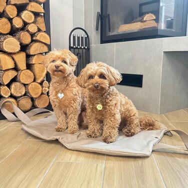 Сумка Tasche 2-в-1 з підстилкою для собак – складана, легка, водовідштовхувальна. В комплекті: косметичка, сумка для снеків, поводок, карабін