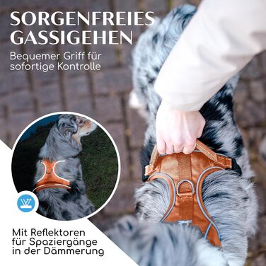 Шлейка для собак Freudentier з м'якою сітчастою підкладкою - максимальний комфорт, надійна фіксація та безпека - антирізний передній кілечко - нагрудник для великих, середніх та маленьких собак (Помаранчевий, L) L Помаранчевий