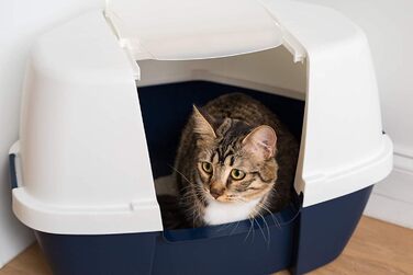 Котячий туалет Iris Ohyama CLH-17J з совком, закритий, до 4 кг, блакитний, з кришкою та знімним бортиком, для кошенят, просторий, BPA-free