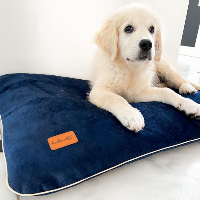 Водонепроникна подушка для собак та котів. Зручне ліжко з матеріалу, безпечне для тварин. Розмір 80x50 см, колір морський.