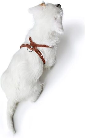 Нашийник для собак HUNTER Round & Soft Canadian UP, колір: Cognac, м'яка, еластична шкіра, оброблений край, не травмує шерсть, екологічний, Made in Germany, розмір: S/1 S/1 Cognac