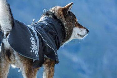 Дощовик для собак Hurtta Monsoon, BlackBerry, 20.3 см