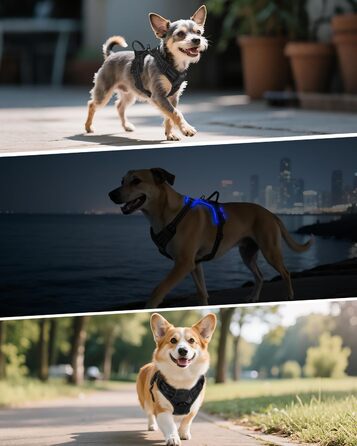 Світловідбиваючий нашийник для собак Joytale, акумуляторний, для середніх собак, без натягування, з LED, з ручкою, регульований, для нічних прогулянок, зелений, M. Зелений (XL (1 шт.), чорно-синій)