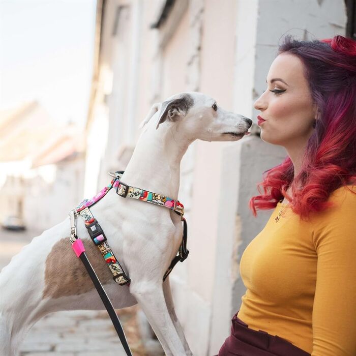 Нашийник для собак Max & Molly H-подібної форми, Ultrabequemes Geschirr Hund з неопрену для дуже маленьких собак, Little Monsters, з підкладкою, безпечний та ультралегкий – комфорт для вашого вірного друга (M)