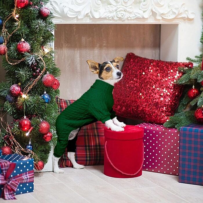 Светр для собак з коміром-горловиною, в'язаний, однотонний, для цуценят, теплий, для собак маленьких та середніх порід (зелений, розмір S/M)