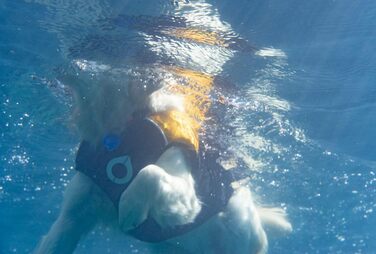 Собача рятувальна жилетка Float Doggy, ергономічна, патентований дизайн, середній розмір, рожева