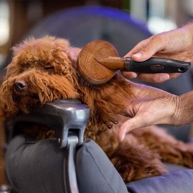 Кardер для собак Croci Barbershop: видаляє підшерсток, розплутує, з нержавіючою сталлю, для всіх типів шерсті