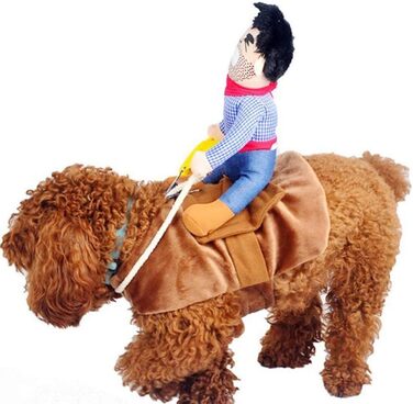 Костюм ковбоя для собак iSMARTEN, стиль лицаря з капелюхом, костюм для домашніх тварин на Хелловін, розмір L