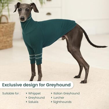 Светр для грейхаунда, італійського віндхаунда та віппета. Теплий светр з високим коміром для собак маленьких порід (зелений, L)