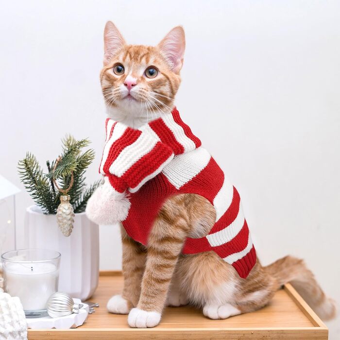 Набір святкового одягу для собак на Новий Рік: теплий пуловер та шалик для тварин, розмір M, червоно-білий