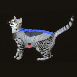 колір: блакитний / сірий