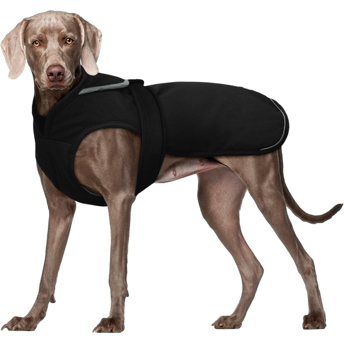 Водонепроникний зимовий одяг для собак Kuoser: теплий флісовий зимовий одяг для малих та середніх собак, чорний, з отвором для страхувального ременя, розмір L (XXL)