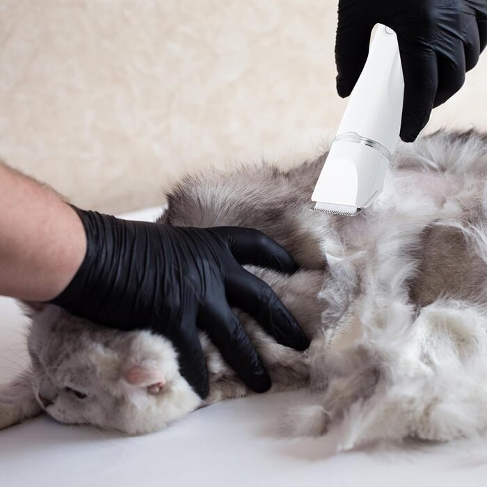 Набір для стрижки кігтів котів та собак Focenat 4 в 1: тихий триммер, електрична машинка для грумінгу тіла, очей та вух