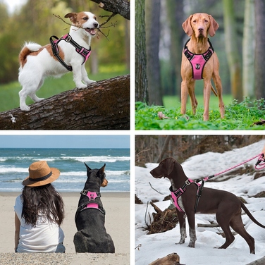 Шлейка для собак з переднім кріпленням HUGGY DOGGY, розмір M