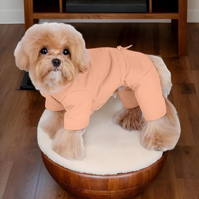 Зимовий одяг для собак: тепла куртка-худі для маленьких собак, 2XL, оранжева | Зручні зимові куртки для собак