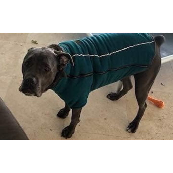 Теплий зимовий костюм для собак BoxDog з поларфлісу, блакитний | для маленьких собак, тепла піджака для собак