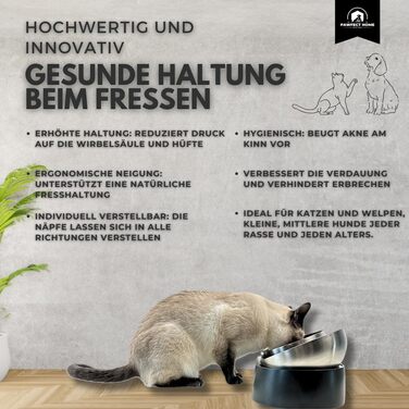 Набір мисок Pawfect Home для котів та маленьких собак: 2 миски з нержавіючої сталі, ергономічний дизайн, піднята годівниця, S