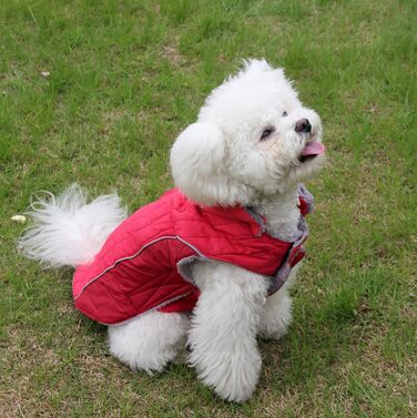 Світшот для собак з капюшоном з флісу, середнього розміру, дуже теплий, розмір L, Зелений (XX-Large (Упаковка з 1), Червоний)