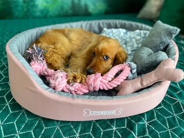 Вольєр для собак Lovedog, багатоколірний, 60 см x 50 см