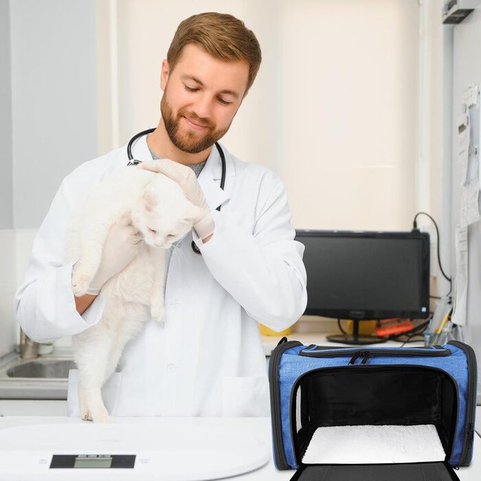 Транспортна сумка для кота та собаки: складана сумка-переноска для кота та собаки, дихаюча переноска з плечовим ременем для автомобіля, літака та подорожей, 40x25x25 см (блакитна)