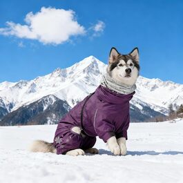 колір: ліла