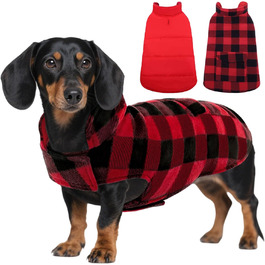 колір: гниль