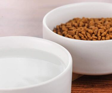 Керамічна миска для собак та котів 2 шт. з підставкою з бамбука, 600 мл, антиковзна, для годування, миска для тварин