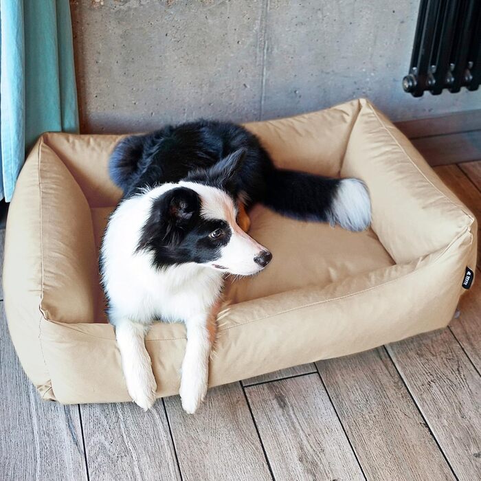 Водонепроникне ліжко для собак 4L Textil Koko, великі породи, корзина, знімний та пральний чохол, 80x60 см, бежеве