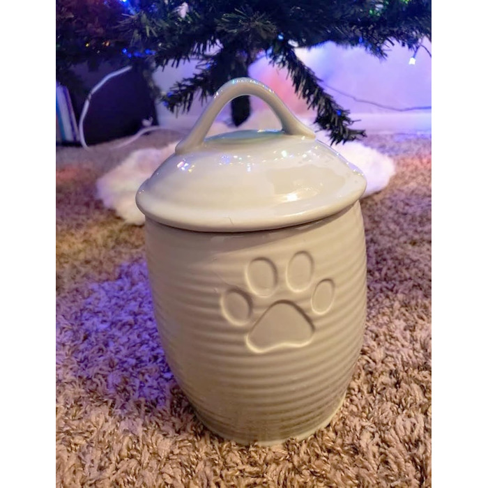 Контейнер для собачих ласощів NIXBYO, зелений, кераміка, герметичний, для зберігання