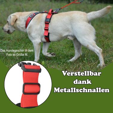 Нашийник для собак III Y - міцний, елегантний та комфортний. Унікальний дизайн для середніх та великих собак. Червоний (L)