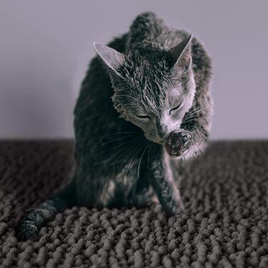 Килимок для котячого туалету CatGuru, розміри M, XL, XXL, водонепроникний, антиковзкий, можна прати, м'який, аксесуари для котів (XXL, темно-сірий, зносостійкий) XXL Темно-сірий