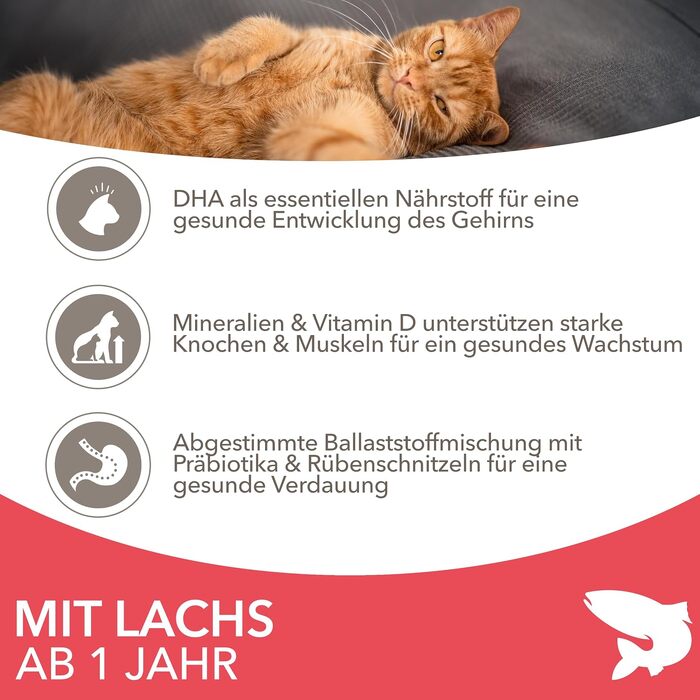 Сухий корм для котів IAMS з лососем для дорослих від 1 до 6 років, 10 кг
