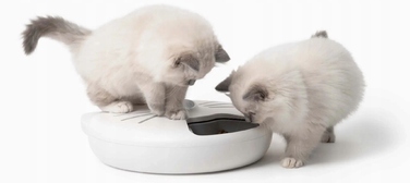 Автоматична годівниця для котів Catit, пластикова, 1020 мл