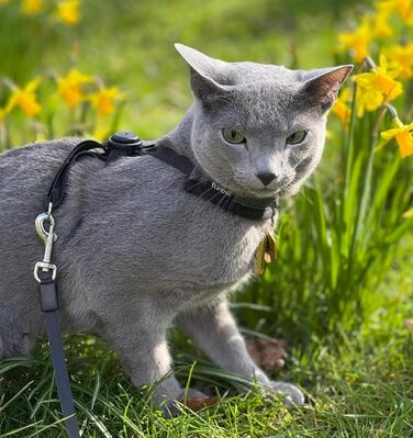 Шлейка для собак та котів Furee з застібкою-кнопкою, чорна/сіра, розмір M, анти-зрив, регульована, для малих порід, кроликів, хом'яків