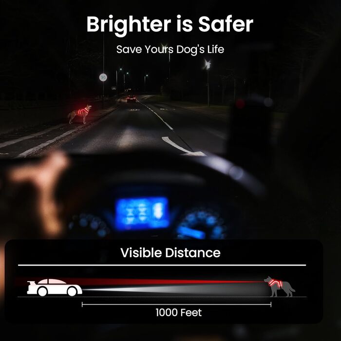 Світлодіодне обіднє нашийник для собак Masbrill, світловідбиваючий, з регулюванням, з ручкою, для малих, середніх та великих собак (Чорний/Червоний, S)