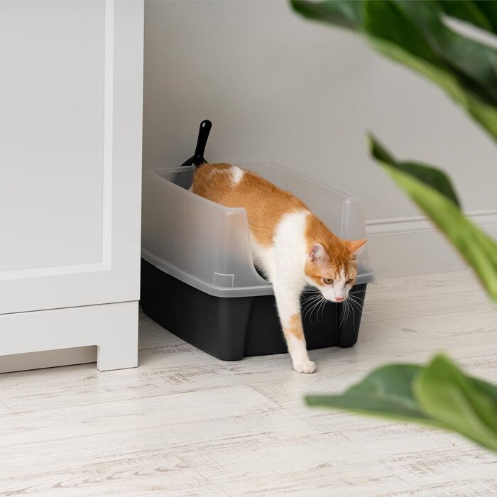 Відкрита котяча туалетна коробка Iris Ohyama CLH-12, для великих котів і кошенят, з високим знімним бортом, без кришки, 2 шт, BPA-free, сіра, до 7 кг