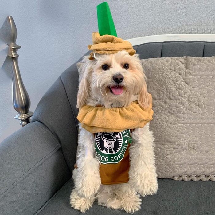 Костюм для собак 'Латте' – карнавальний костюм 'Еспресо' для собак, теплий халат-піжама для маленьких та середніх собак, косплей, Хелловін