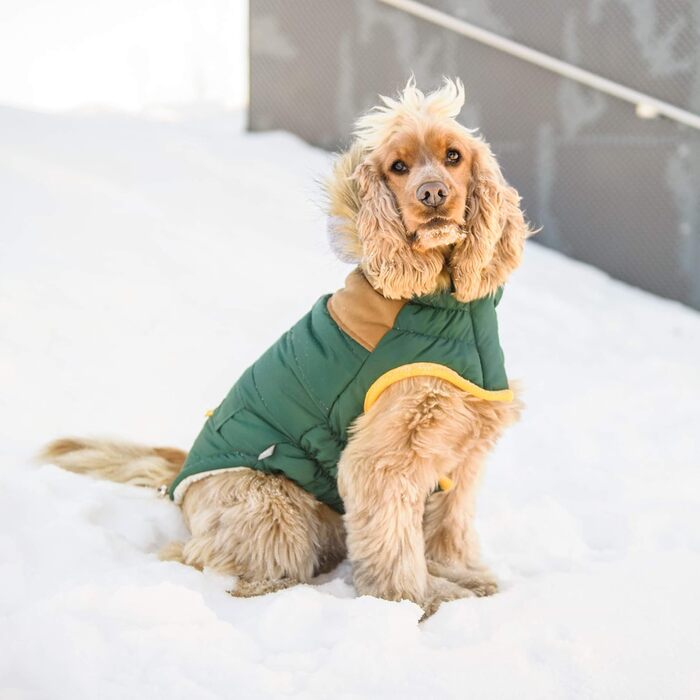 GF Pet LODGE Parka для собак, куртка для тварин, розмір 2XS, Forest Forest XXS