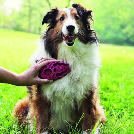 KONG ZoomGroom - щітка для догляду за собаками та миття з шампунем - для великих собак (блакитна, стандартна упаковка)