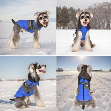 Теплий зимовий одяг для собак, куртка та жилет для маленьких та середніх порід, з світловідбиваючим жилетом, блакитний (S, блакитний)