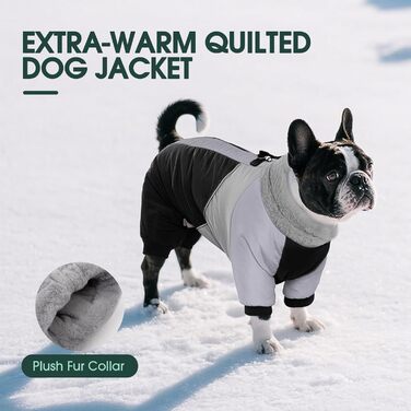 Водонепроникний собачий плащ Kuoser для маленьких собак - теплий зимовий плащ з шлейкою та світловідбиваючими деталями, чорний, розмір M