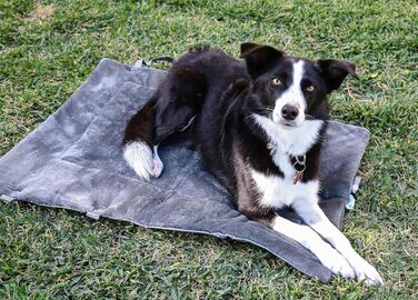 Водонепроникний килимок для котів та собак Kritter Planet, складаний, миючий, для відпочинку на вулиці, у подорожах та кемпінгу, з ручками, 80 x 60 см, сірий