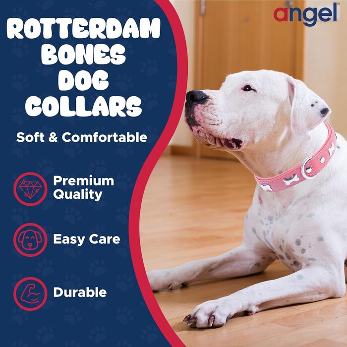 Нашийник для собак Bones зі шкіри Rotterdam, 55,9x2,5 см, рожевий Bubblegum