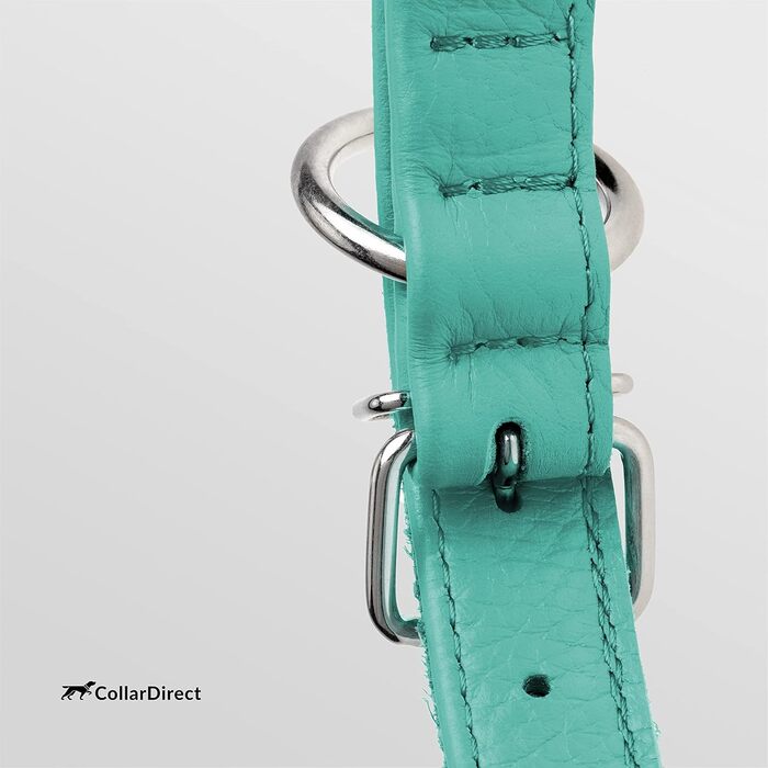 Шкіряний нашийник для собак CollarDirect, круглий, м'який, з роллом, ручної роботи, справжня шкіра, чорний, червоний, фіолетовий, синій (м'ятний), 15-18 см