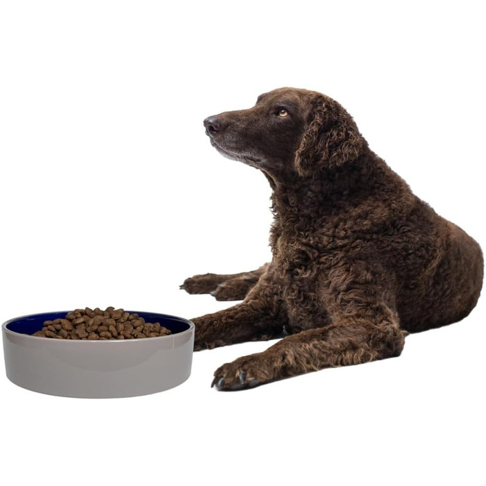 Керамічна миска для собак великих та середніх порід Ethical Spot, діаметр 24.1 см, білий/блакитний колір