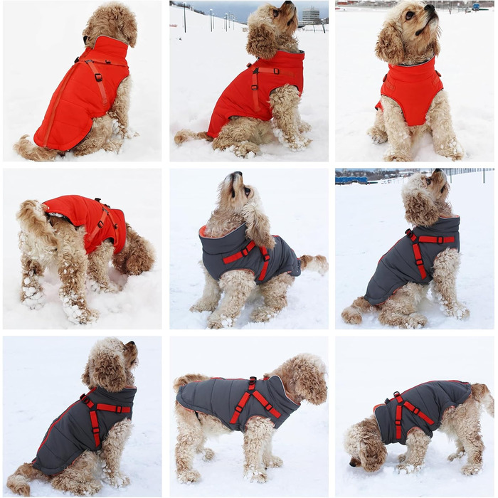 Зимова куртка для собак, жилет, водонепроникна, світловідбиваюча, з флісовою підкладкою, костюм для маленьких собак на вулицю з персоналізованою нашивкою, помаранчевий колір, XL (довжина спини 44 см), XL (персоналізований)